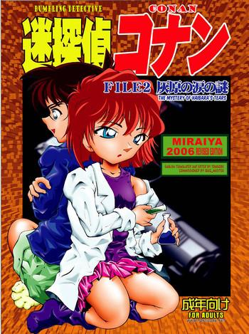 bumbling detective conanfile02 the mystery of haibara x27 s tears cover
