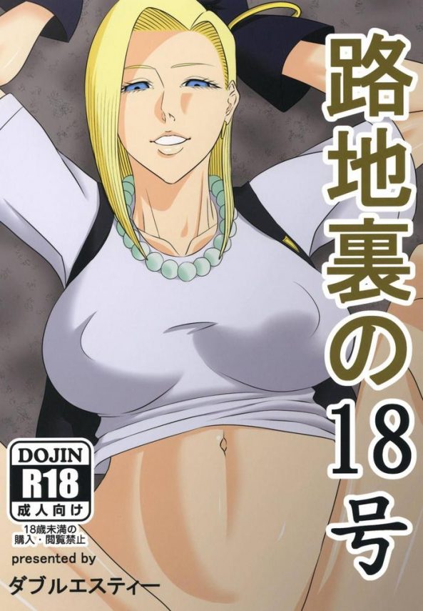 rojiura no 18 gou back alley number 18 cover