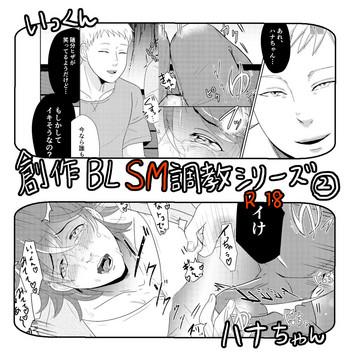 sm cover