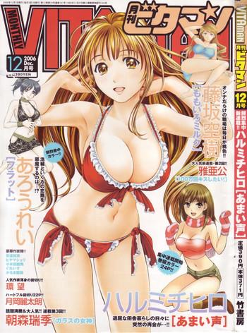 monthly vitaman 2006 12 cover