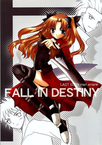 fall in destiny cover