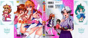 tougenkyou princess cover