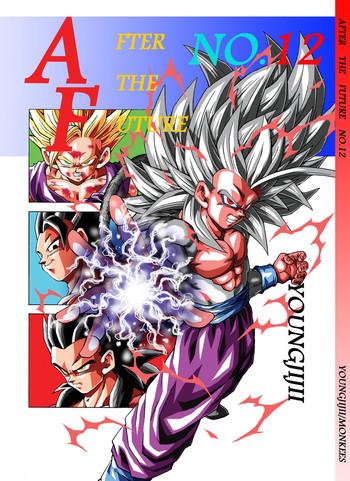 dragon ball af vol 12 cover