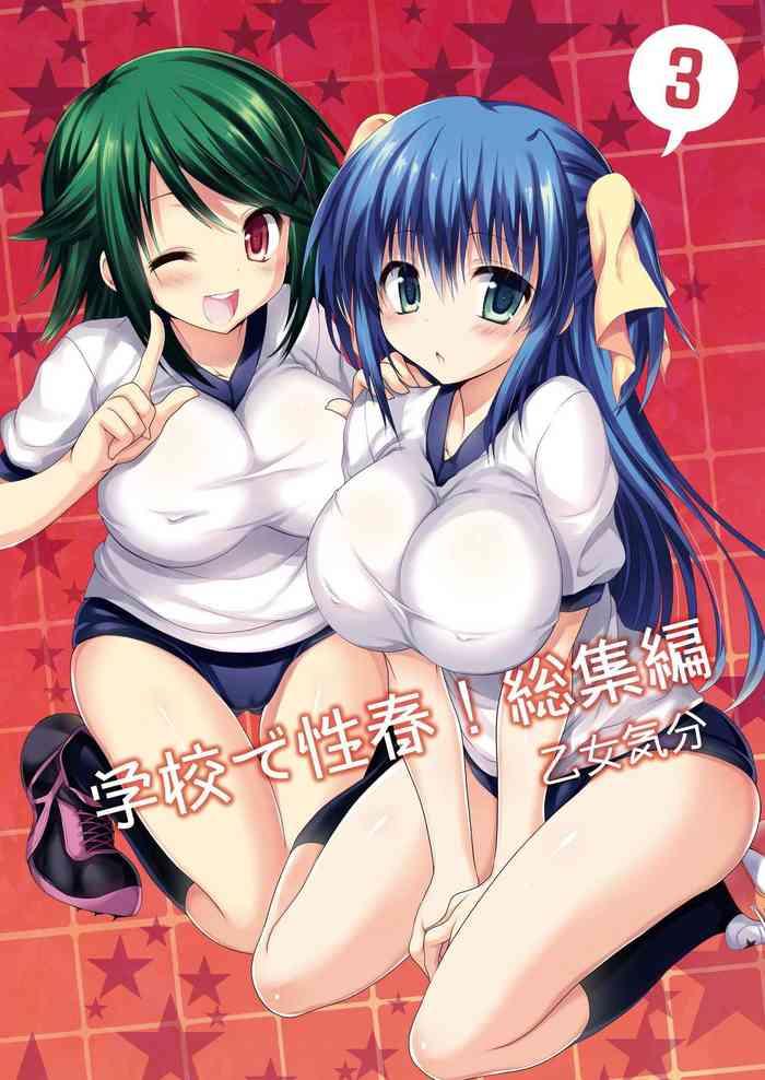 gakkou de seishun soushuuhen 3 cover