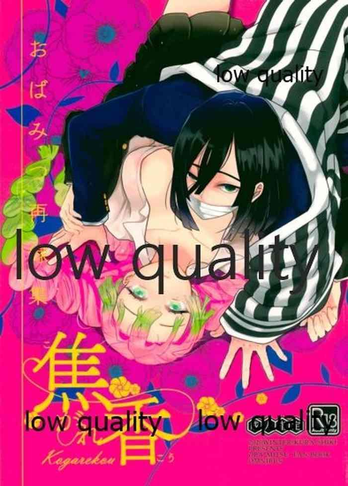 obamitsu sairokushuu kogarekou cover