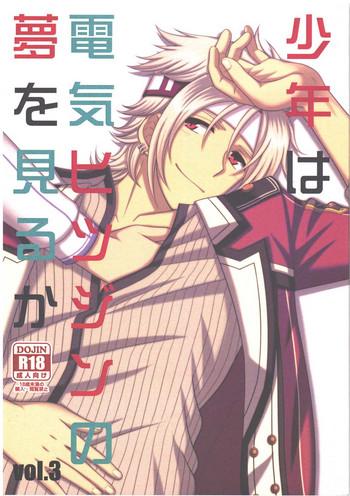 shounen wa denki hitsujin no yume o miru ka vol 3 cover