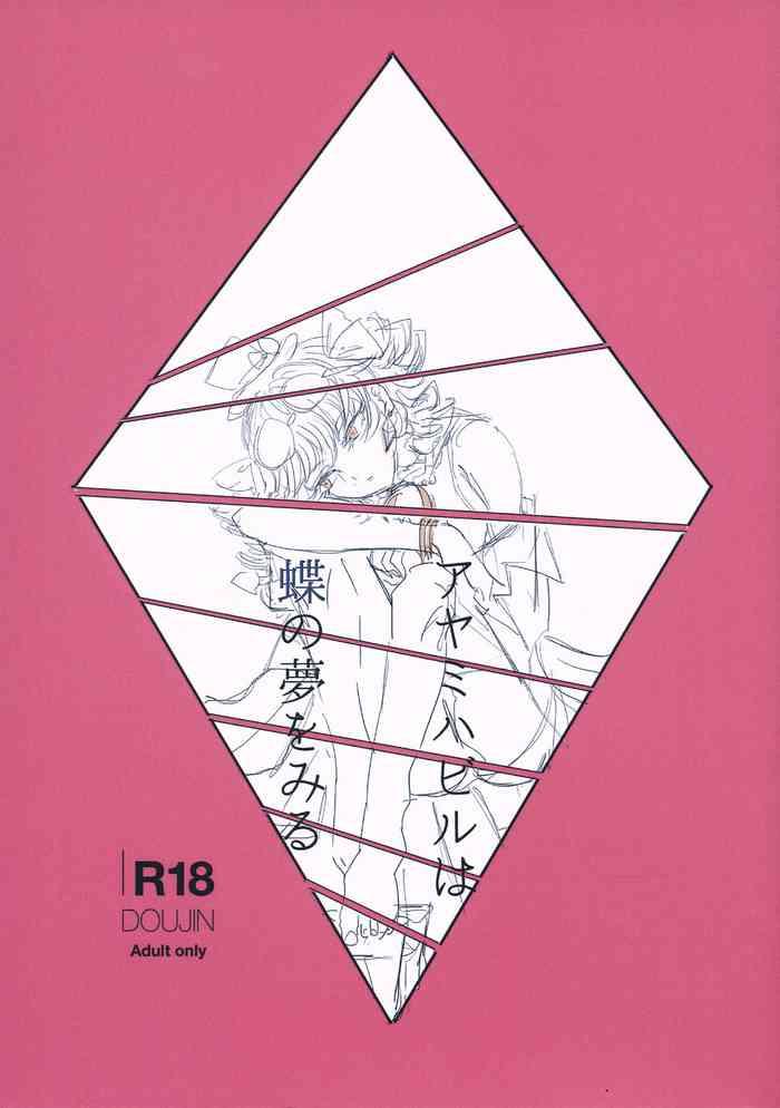 cover 13