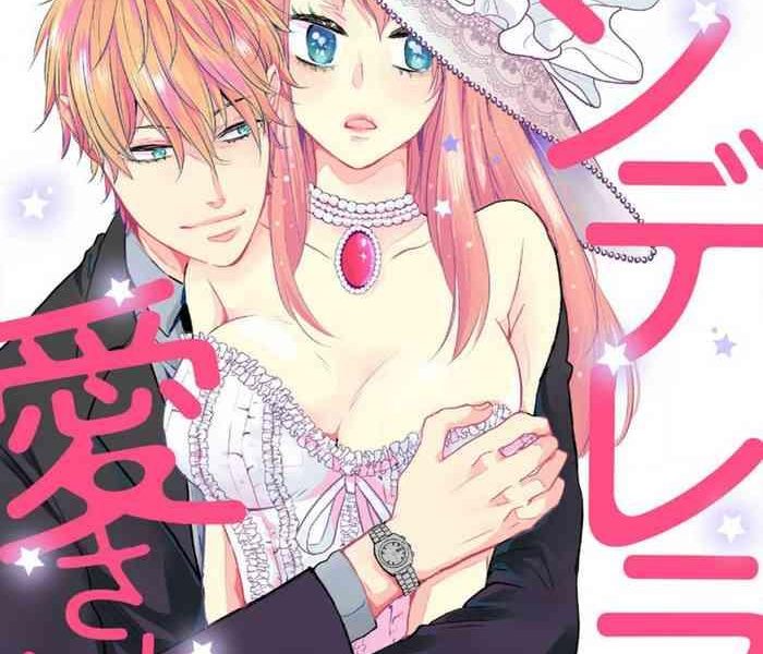 cinderella wa aisaretai 1 3 cover